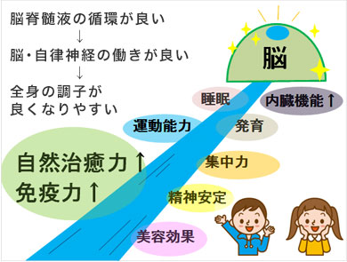 脳脊髄の循環が良い　脳・自律神経の働きが良い　全身の調子が良くなりやすい