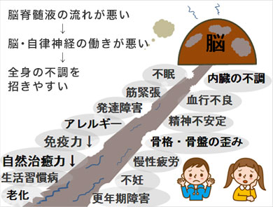 脳脊髄液の流れが悪い　脳・自律神経の働きが悪い　全身の不調を招きやすい