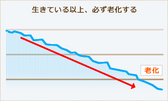 生きている以上、必ず老化する