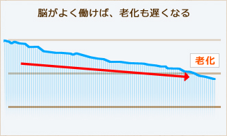 体調が良い状態を維持しやすい