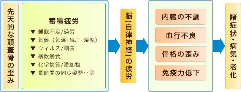 頭の整体「CSFプラクティス」で結局、何が変わる？